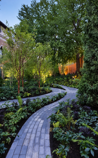 Winding paved path through a lush garden
