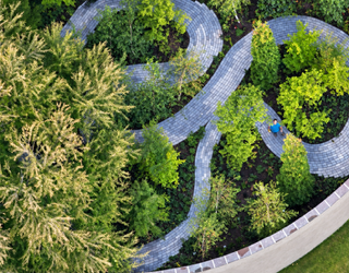 Aerial view of a curving garden path